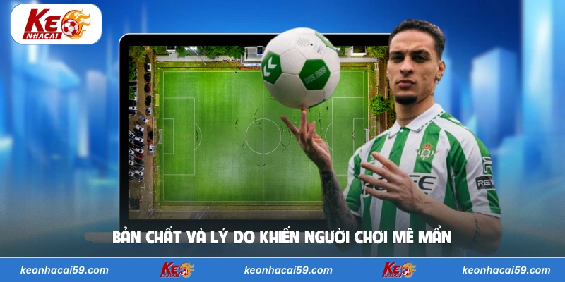 Bản chất và lý do khiến người chơi mê mẩn