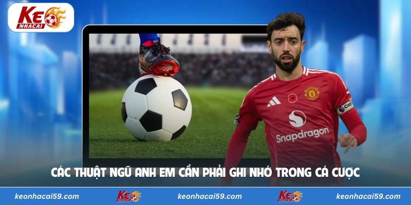 Các thuật ngữ anh em cần phải ghi nhớ trong cá cược 
