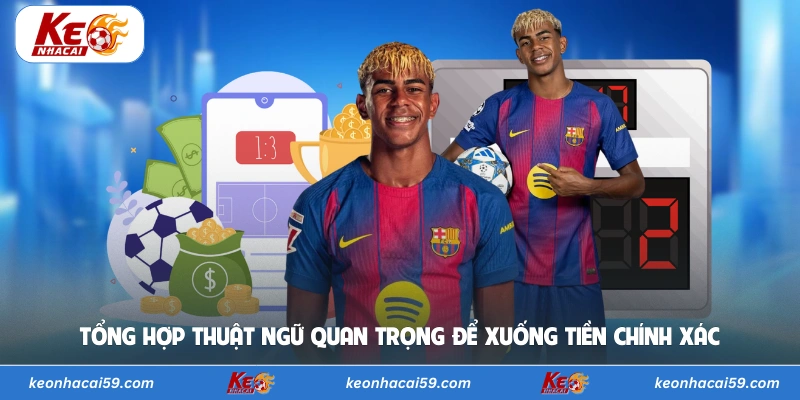 Tổng hợp thuật ngữ quan trọng để xuống tiền chính xác 