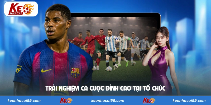 Trải nghiệm cá cược đỉnh cao tại tổ chức  